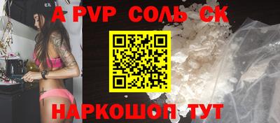гашик Моздок