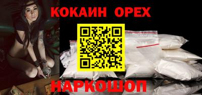 гашик Моздок