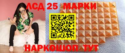 индика Можга