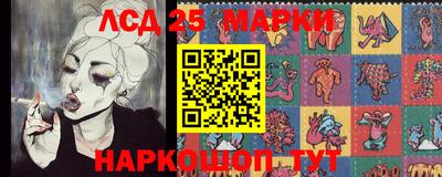 гашик Моздок