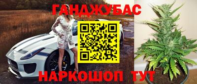 индика Можга