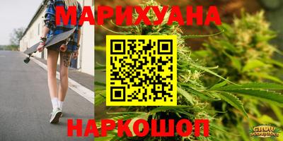 гашик Моздок