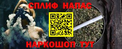 индика Можга