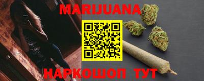 гашик Моздок