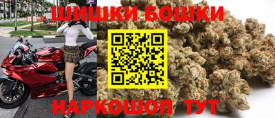 индика Можга