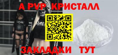 гашик Моздок