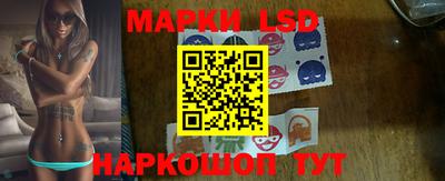 гашик Моздок
